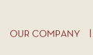 OUR COMPANY